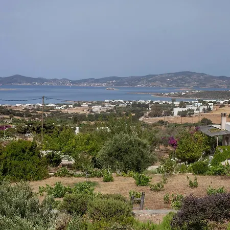Stylish Cycladic Family With Private Gardens - Botanica Villa *